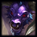 Picture of the Champion/Item