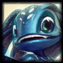 Picture of the Champion/Item
