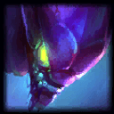 Picture of the Champion/Item