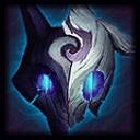 Picture of the Champion/Item