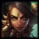 Picture of the Champion/Item
