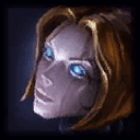 Picture of the Champion/Item