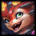 Picture of the Champion/Item