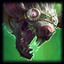 Picture of the Champion/Item