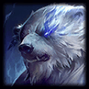 Picture of the Champion/Item