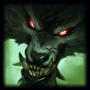 Picture of the Champion/Item