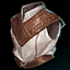 Picture of the Champion/Item